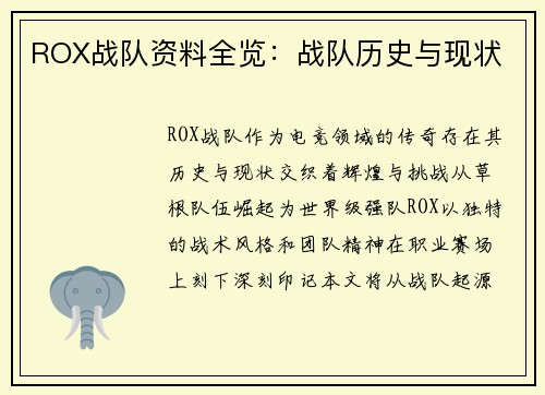 ROX战队资料全览：战队历史与现状
