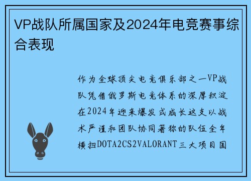 VP战队所属国家及2024年电竞赛事综合表现